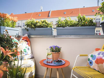 Jardin biodiversité - douceur énergisante